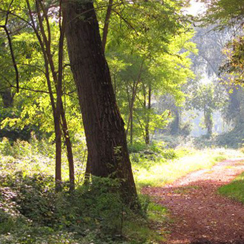 Natura e benessere - Molenda Bed&Breakfast - Città di Castello