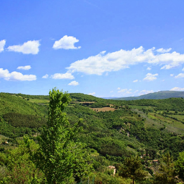 Natura e benessere - Molenda Bed&Breakfast - Città di Castello